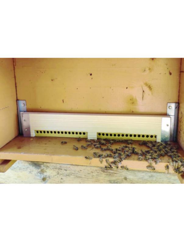 installazione supporto polyvar 35,5 cm su arnia con api gestione prevenzione varroa