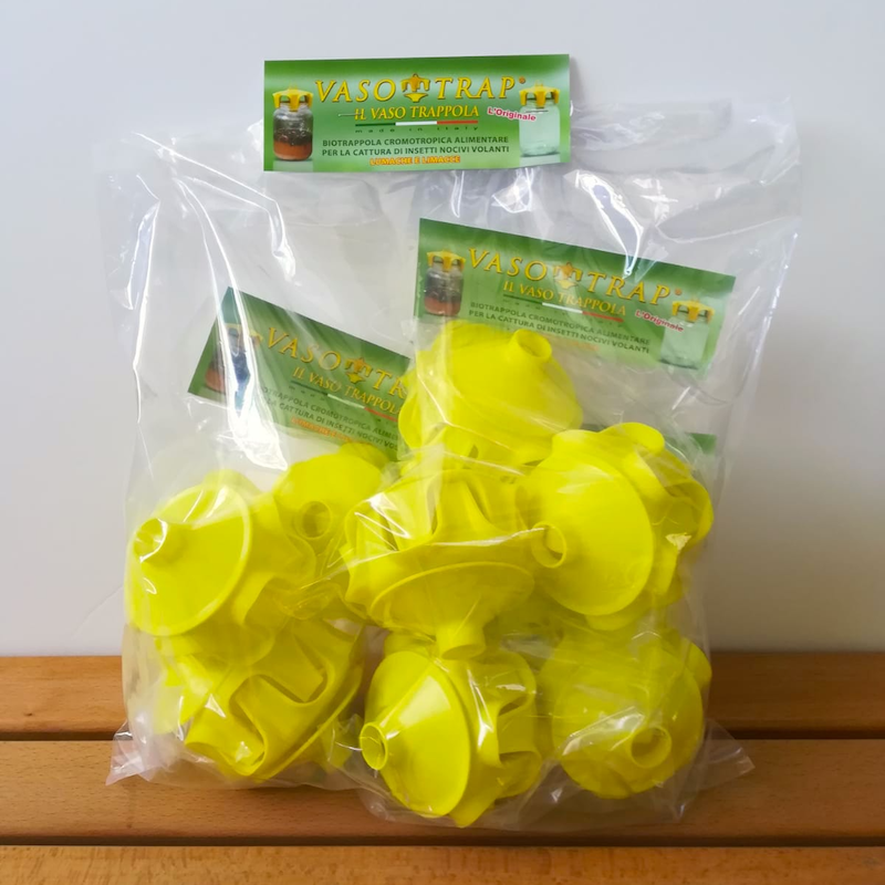 Confezione doppia trappola gialla per calabroni e vespe su vaso