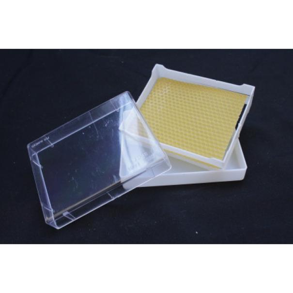 contenitore in plastica bianco per miele in favo con coperchio trasparente e foglio cereo